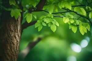 a tree with green leaves and a blurry background. AI-Generated photo