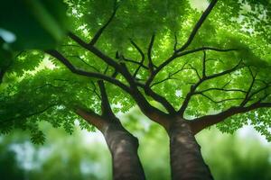 two trees are seen from above in a green forest. AI-Generated photo