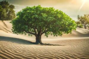 a tree in the desert with the sun shining. AI-Generated photo