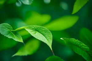 verde hojas en un árbol. generado por ai foto