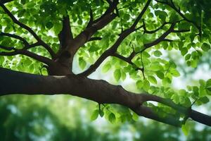 a tree branch with green leaves. AI-Generated photo