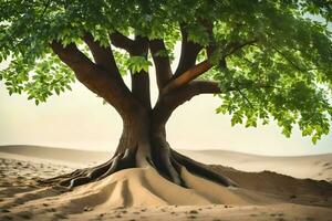 a tree with roots growing out of the sand. AI-Generated photo