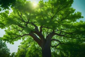 the sun shines through the leaves of a large tree. AI-Generated photo