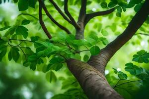 a tree branch with green leaves. AI-Generated photo