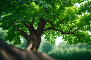 un árbol en el medio de un bosque. generado por ai foto