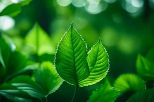 a close up of green leaves in the forest. AI-Generated photo