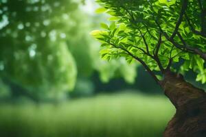 un árbol con un verde antecedentes y un verde árbol. generado por ai foto