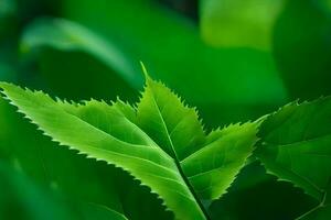 a close up of a green leaf in the middle of a forest. AI-Generated photo