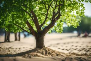 un árbol es creciente fuera de el arena en el medio de el playa. generado por ai foto