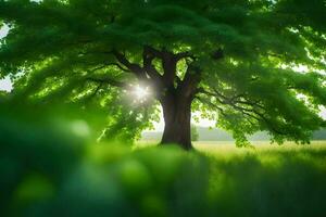 un árbol en el medio de un campo con el Dom brillante a través de. generado por ai foto