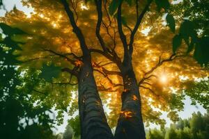 the sun shines through the leaves of a tree. AI-Generated photo