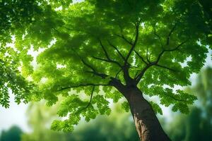 un árbol es mostrado en el luz de sol con verde hojas. generado por ai foto