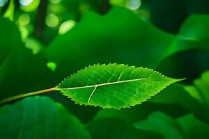 a leaf is shown in the foreground of a green forest. AI-Generated photo