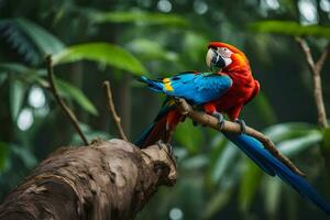 a red and blue parrot sitting on a branch. AI-Generated photo