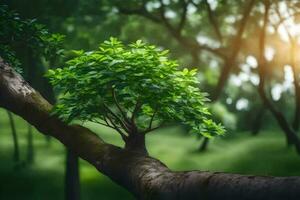 a tree branch with leaves growing on it in the forest. AI-Generated photo