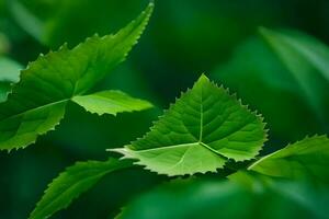 a close up of green leaves on a tree. AI-Generated photo