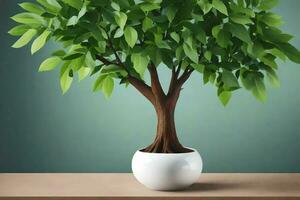 a potted tree in a white vase on a table. AI-Generated photo