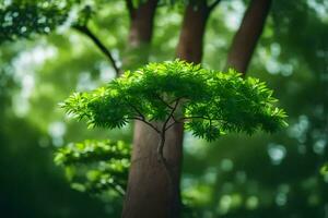 un árbol con verde hojas en el bosque. generado por ai foto