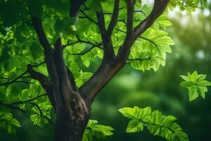 un árbol con verde hojas y luz de sol. generado por ai foto