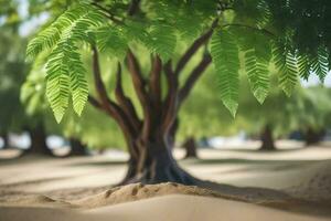 a tree in the middle of a desert. AI-Generated photo