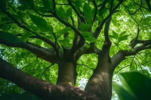 un árbol con verde hojas y luz de sol. generado por ai foto