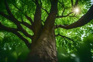 the sun shines through the leaves of a tree. AI-Generated photo