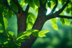 green leaves on a tree in the sunlight. AI-Generated photo
