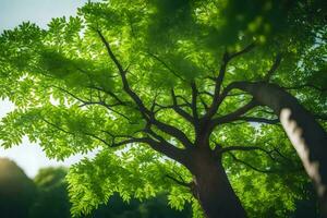 a tree with green leaves and sunlight shining through. AI-Generated photo