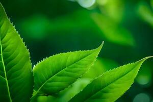 un cerca arriba de verde hojas en un árbol. generado por ai foto