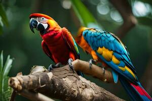 two colorful parrots sitting on a branch. AI-Generated photo