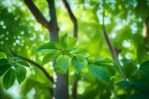 green leaves on a tree in the forest. AI-Generated photo