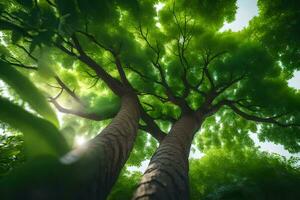 photo wallpaper the sky, trees, leaves, sunlight, green, the sun, trees, the. AI-Generated