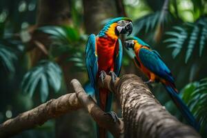 two colorful parrots sitting on a branch in the jungle. AI-Generated photo