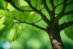 un árbol con verde hojas y luz de sol. generado por ai foto