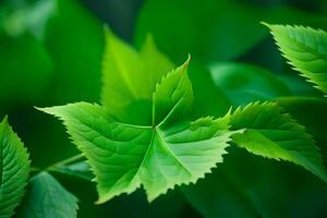 verde hojas en un árbol. generado por ai foto