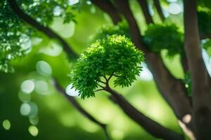 un árbol con verde hojas y un borroso antecedentes. generado por ai foto