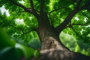 un árbol es visto desde encima en un bosque. generado por ai foto