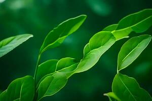 green leaves on a plant. AI-Generated photo