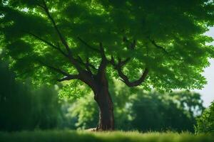 un árbol en el medio de un campo. generado por ai foto