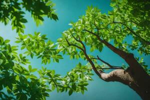 the green leaves of a tree against a blue sky. AI-Generated photo