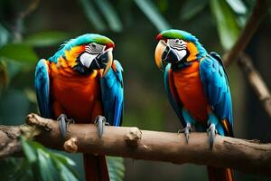 two colorful parrots sitting on a branch. AI-Generated photo