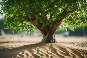 a tree in the desert with sand and dirt. AI-Generated photo