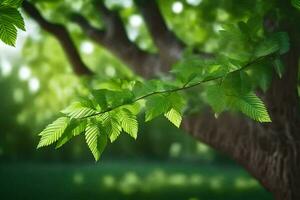 un árbol con verde hojas en el antecedentes. generado por ai foto