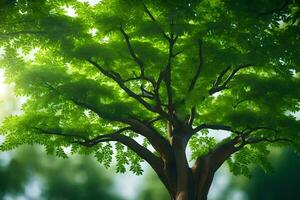 a tree with green leaves in the sunlight. AI-Generated photo