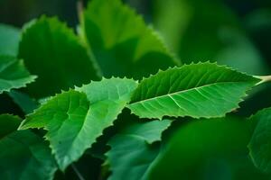 a close up of green leaves on a plant. AI-Generated photo