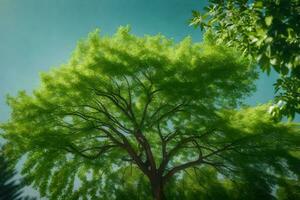 un árbol es mostrado en el cielo con verde hojas. generado por ai foto