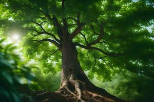 a large tree with roots in the ground. AI-Generated photo