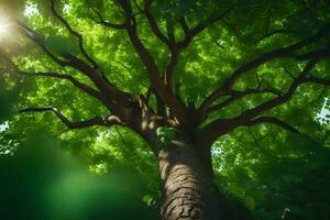 the sun shines through the leaves of a tree. AI-Generated photo