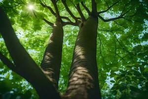 el Dom brilla mediante el hojas de un árbol. generado por ai foto