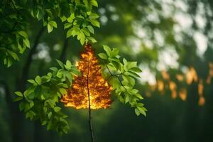a tree with a fire on it in the middle of the forest. AI-Generated photo